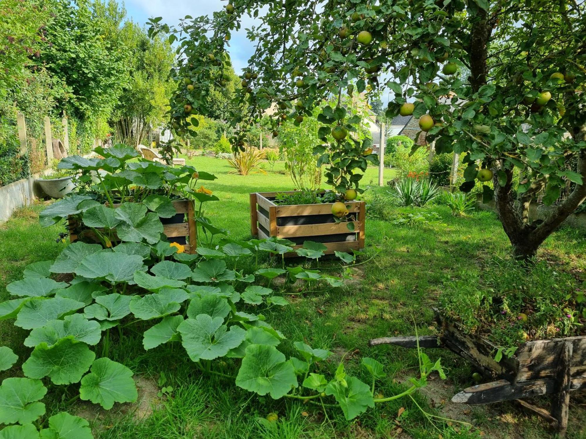 Les Forges Du Lou Apartment Jugon-les-Lacs ภายนอก รูปภาพ